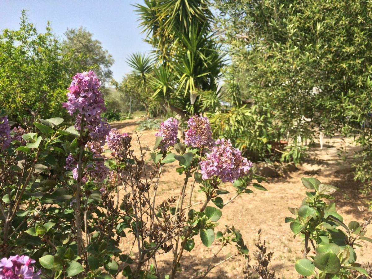Rural El Puerto Mayordomo Ardales Εξωτερικό φωτογραφία